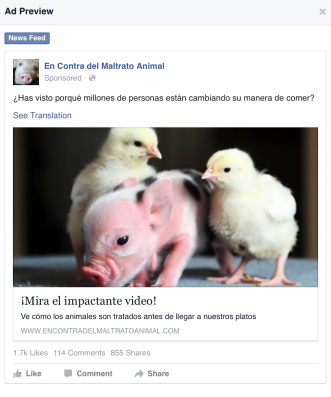 Successful Ad - News Feed