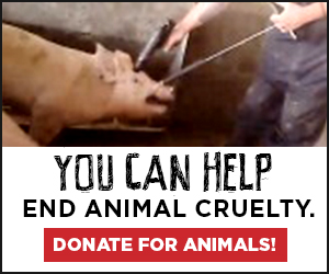 YouCanHelp02